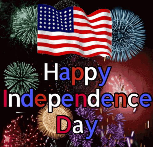 Fireworks Display Happy Independence Day GIF