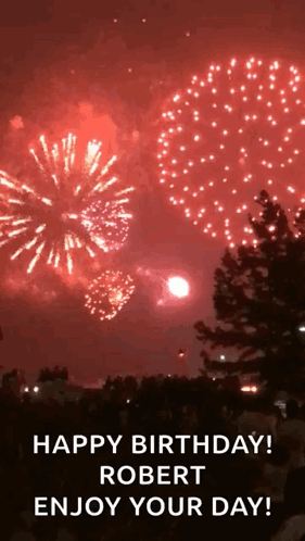 Fireworks Display Saying Happy Birthday Robert Enjoy Your Day