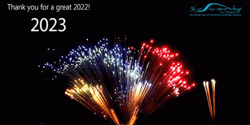 Fireworks Display Thank You for a Great 2023