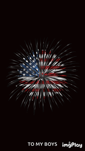 Fireworks Display To My Boys
