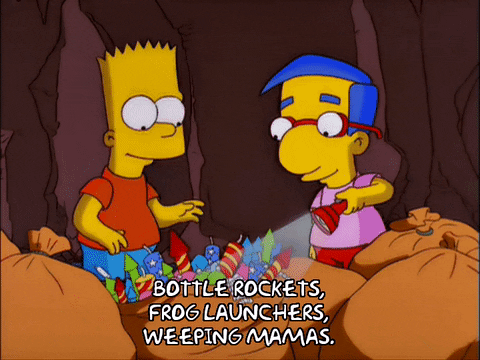 Fireworks Fail Millhouse Van Houten And Bart Simpson GIF