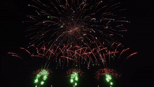 Fireworks in Night Sky with Green Flowers