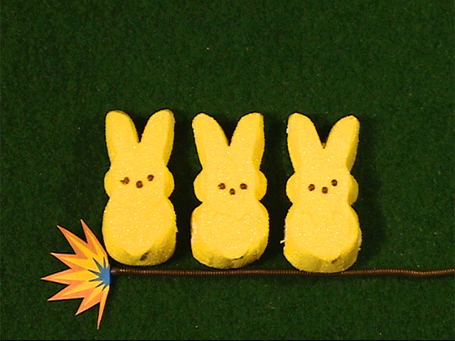Fireworks Peeps Bunnies GIF