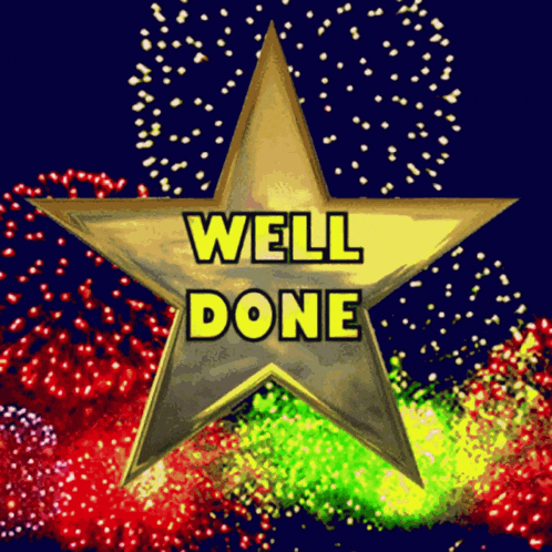 Fireworks Well Done Gif GIF