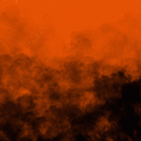 Firing Mitch Mcconnell Turtle GIF