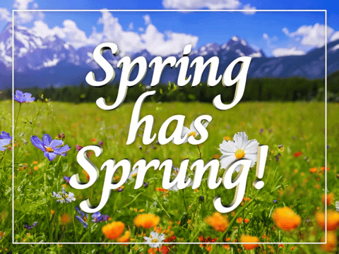 First Day Of Spring Has Already Sprung GIF