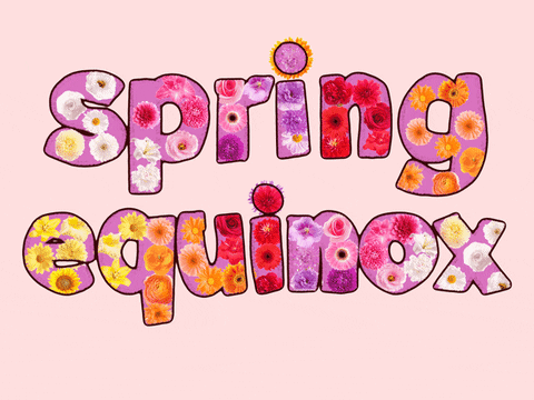 First Day Of Spring Has Just Started GIF