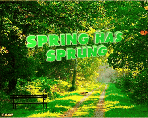First Day Of Spring Has Sprung GIF