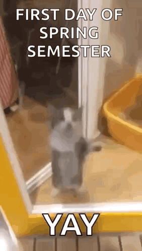 First Day Of Spring Semester GIF