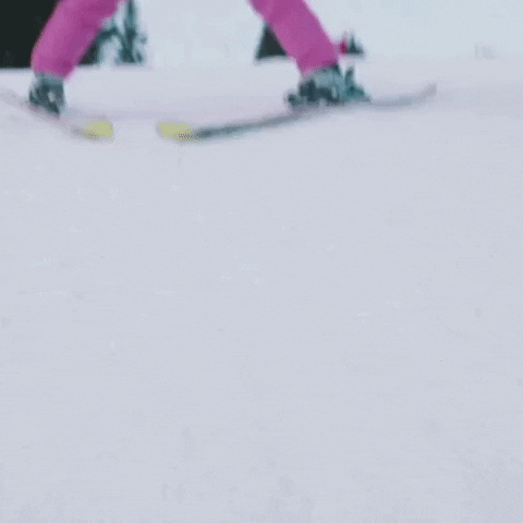 First Day Of Taking Ski GIF