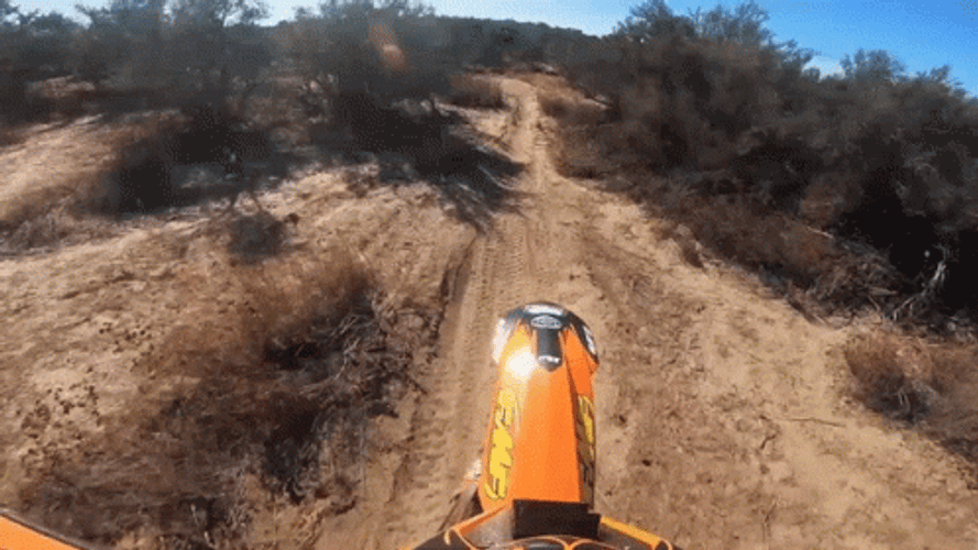 First Person Dirt Bike Ride In The Wild GIF