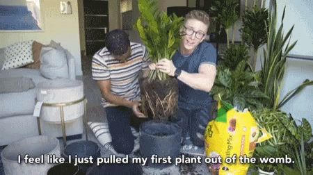 First Plant Out Of Womb GIF