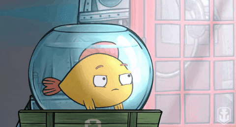 Fish Admire It's Beautiful GIF