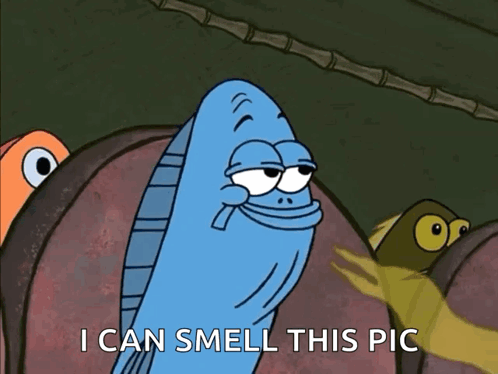 Fish Cartoon Saying I Can Smell This