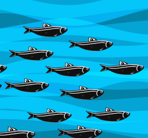 Fish Caught Fishing Hook GIF