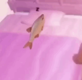 Fish Floating On Bed GIF