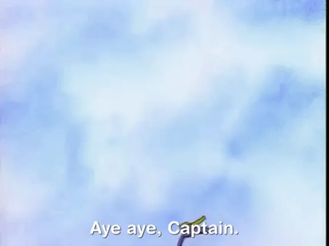Aye Aye Captain