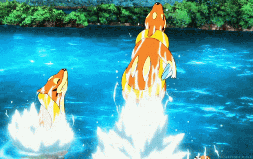 Fish Jumping Out of Water With Eclipsed Tumblr