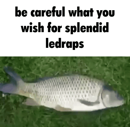 Fish Lying in Grass Be Careful What You Wish For