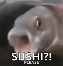 Fish Mouth Open Saying Sushi Please GIF