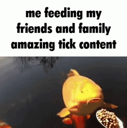 Fish Saying Me Feeding My Friends and Family