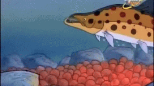 Fish Spawn Releases GIF