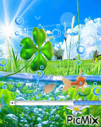 Fish Swimming in Pond with Clover and Bubbles