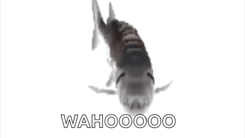 Fish Swimming Saying Wahoooo