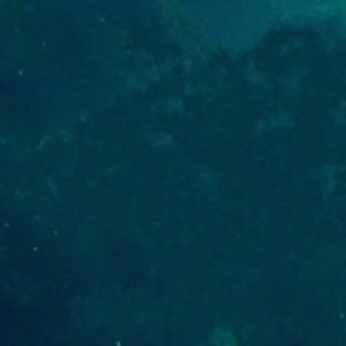 Fish Swimming With Words Oh On Cod GIF