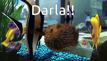 Fish Tank With Darla