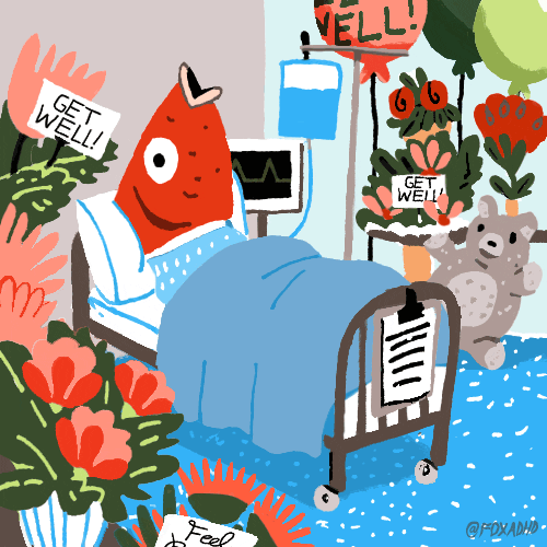 Fish Under Medication Medicine GIF