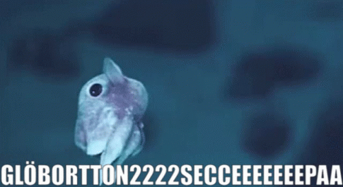 Fish With Text globortton222secceeeeepaa