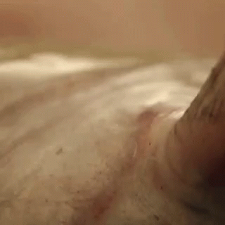 Fishing Man With Catfish GIF