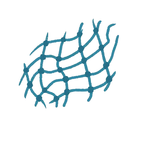 Fishing Net With Ropes And Knots