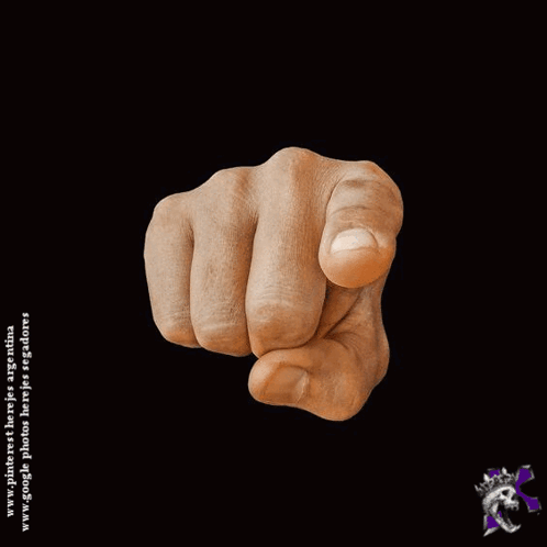 Fist Pointing at Camera www.google.com/photos/argentina