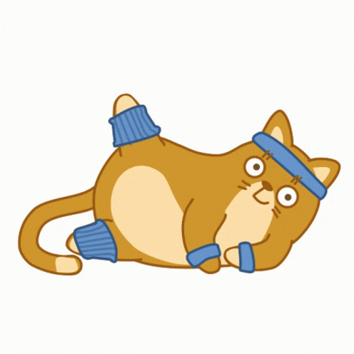 Fit Cat Exercise GIF