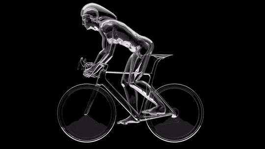 Fitness Biking Cycling Bicycle GIF