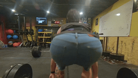 Fitness Crossfit Jorts GIF