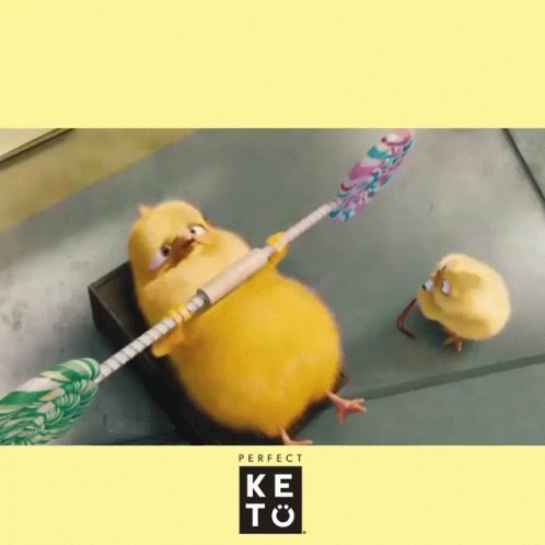 Fitness Gym First Day GIF