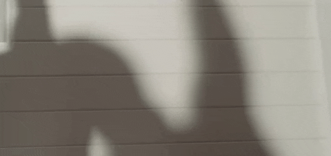 Fitness Shadow Working Out GIF