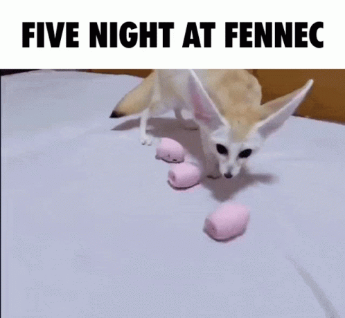 Five Nights At Fennec Fox Meme GIF