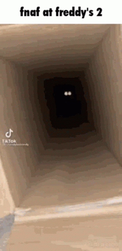 Five Nights At Freddy's Cat Meme GIF