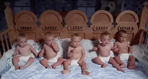 Five Quiet Nepo Baby GIF