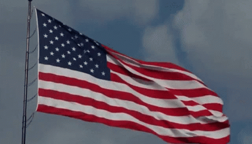 Flag Of America National Anthem GIF