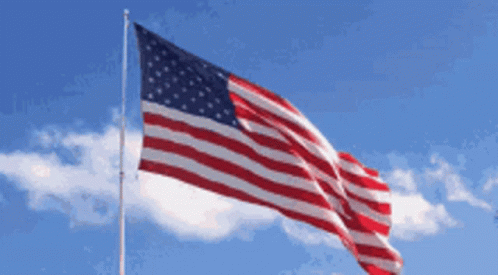 Flag Of America Waving GIF