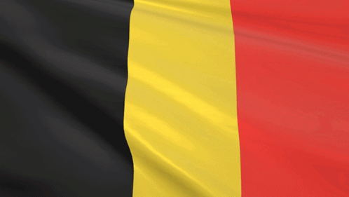 Flag of Belgium Black Yellow Red Stripe