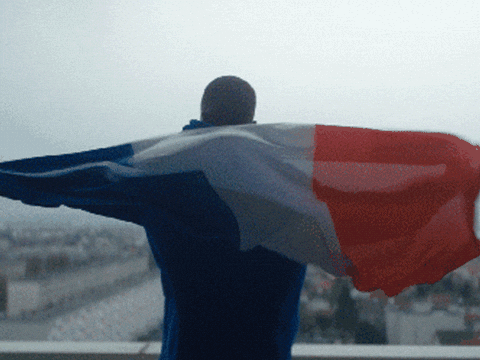 Flag Of France Fluttering In The Wind GIF