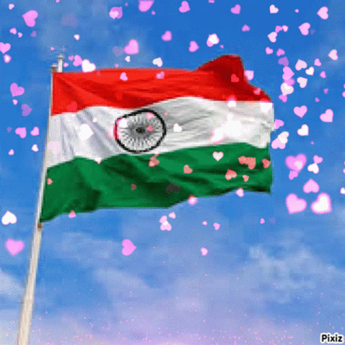 Flag Of India Raining With Hearts GIF