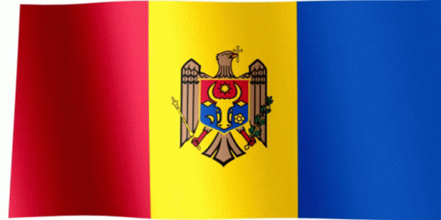Flag Of Moldova GIF
