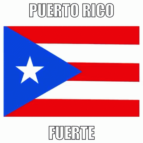 Flag of Puerto Rico Red White Blue With White Star